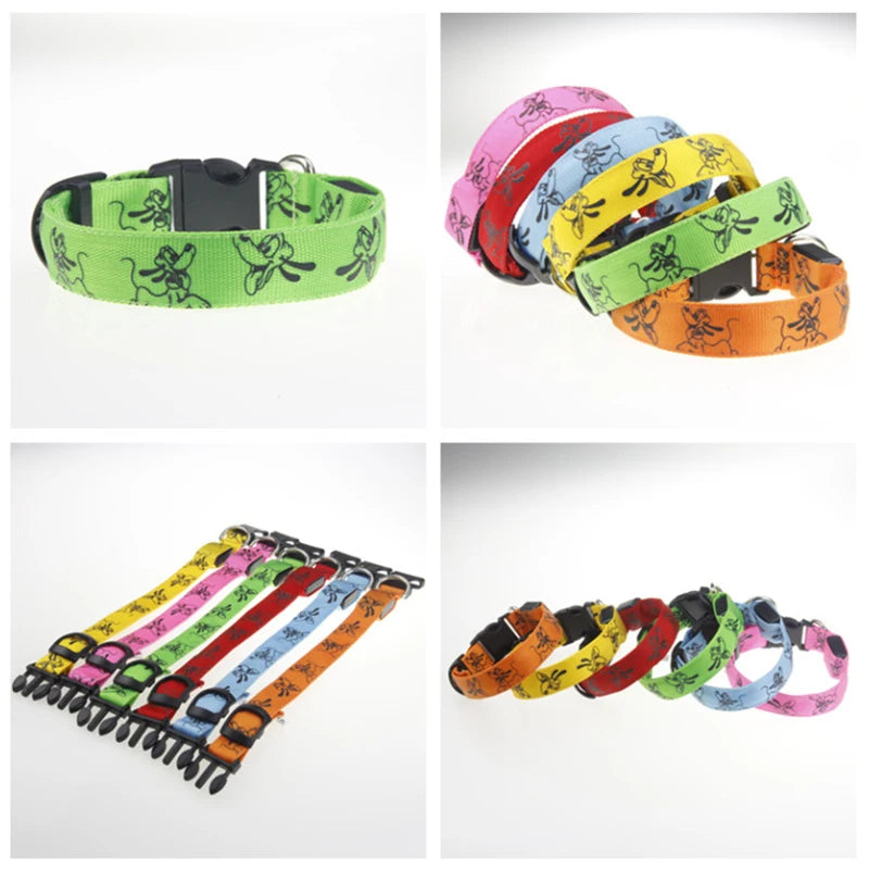 LED Light-Up Dog Collar — USB Rechargeable Night Safety