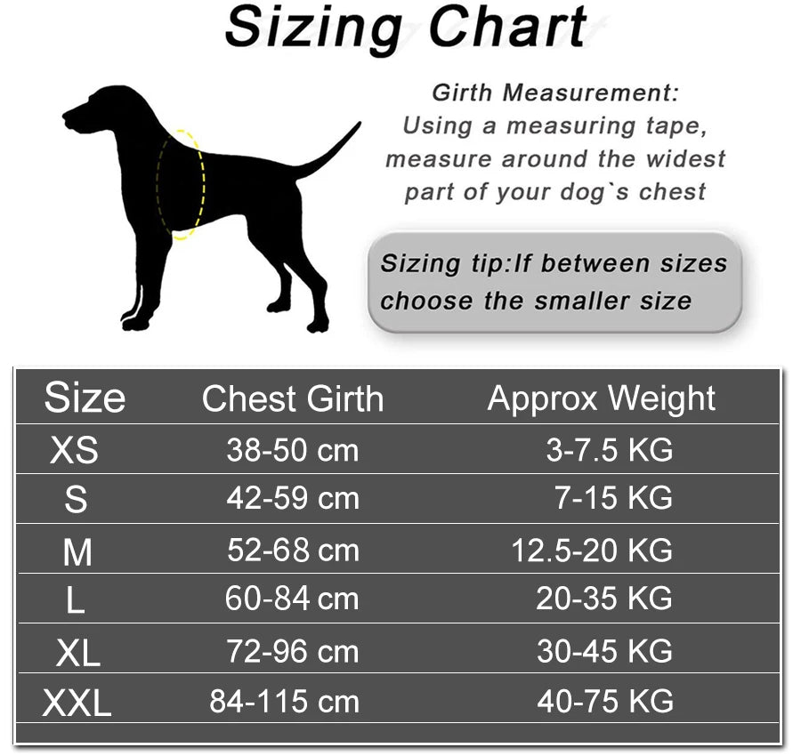 The ID Harness — Personalized Reflective Dog Harness