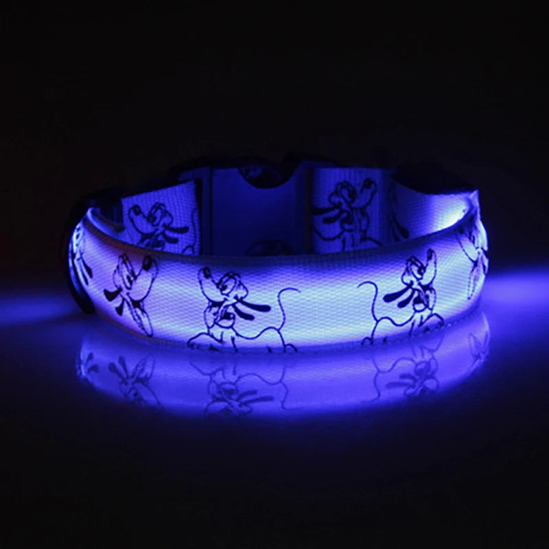 LED Light-Up Dog Collar — USB Rechargeable Night Safety