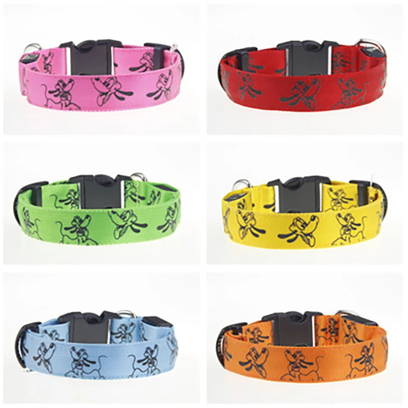 LED Light-Up Dog Collar — USB Rechargeable Night Safety