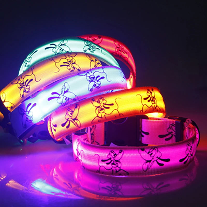 LED Light-Up Dog Collar — USB Rechargeable Night Safety