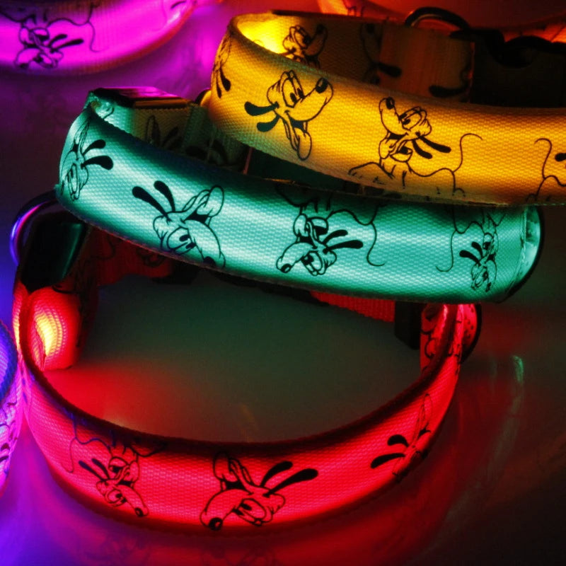 LED Light-Up Dog Collar — USB Rechargeable Night Safety