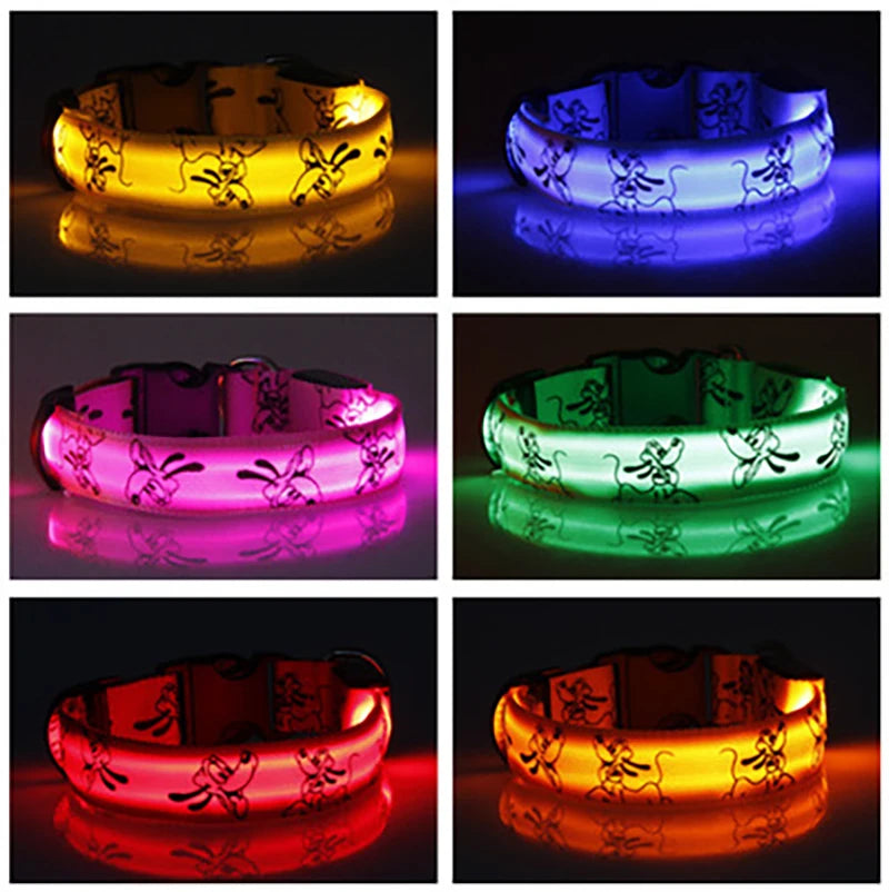 LED Light-Up Dog Collar — USB Rechargeable Night Safety