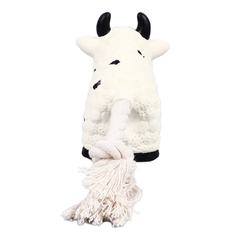 Interactive Dog Chew Toy — Durable & Squeaky