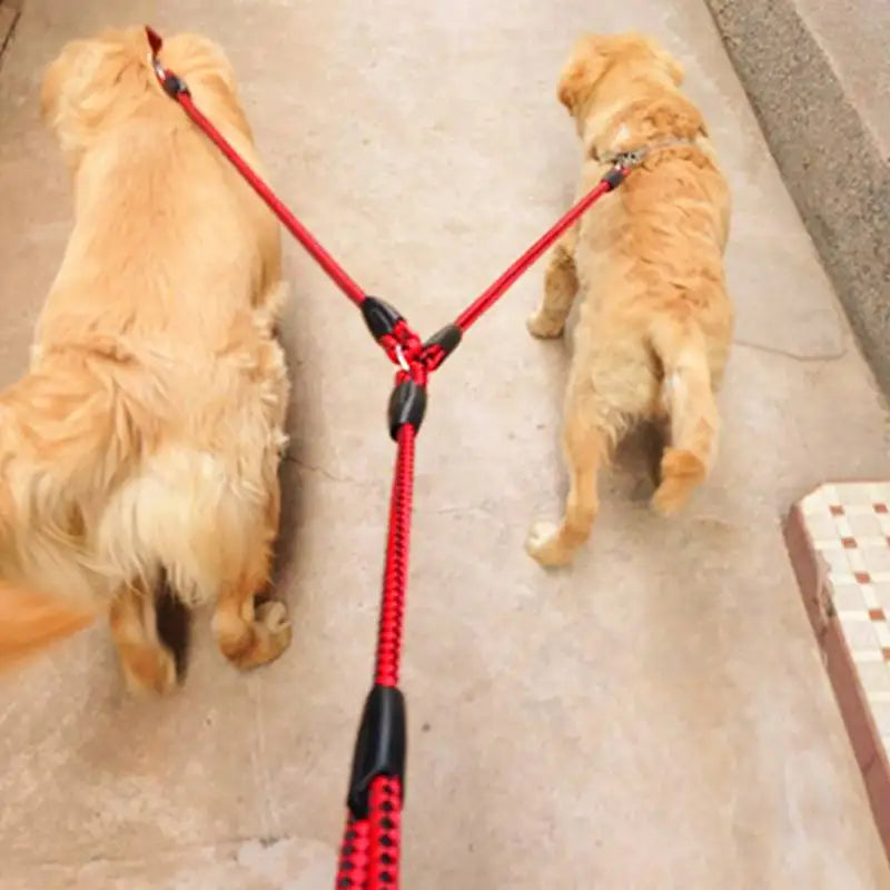 Durable Dog Leash — Ergonomic Handle for Safe Walks