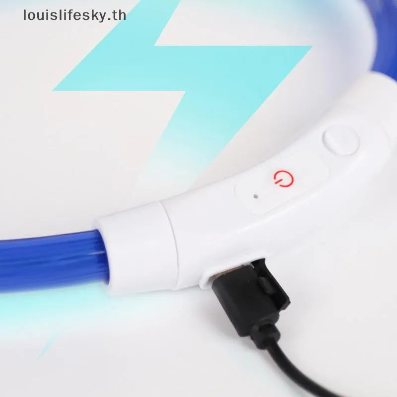 LED Light-Up Dog Collar — USB Rechargeable Night Safety