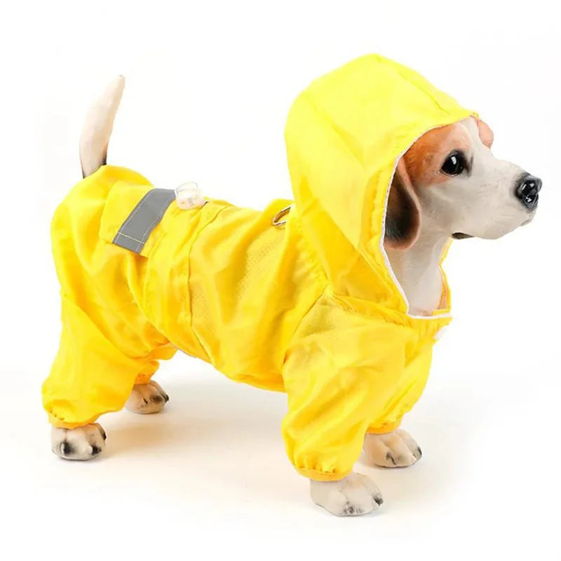 Dog & Cat Clothes — Cozy Winter Outfit