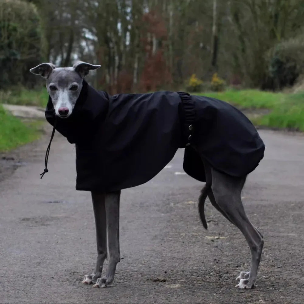 Dog & Cat Clothes — Cozy Winter Outfit