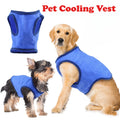 Dog & Cat Clothes — Cozy Winter Outfit