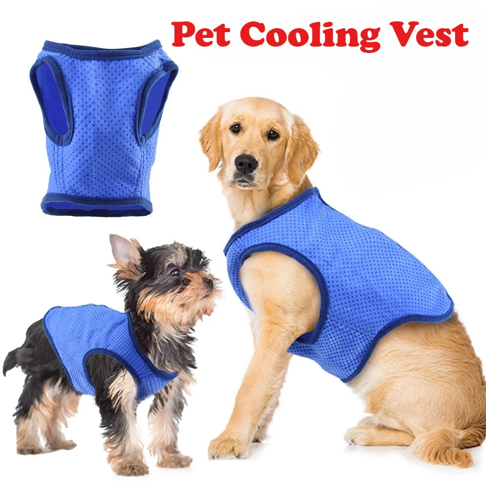 Dog & Cat Clothes — Cozy Winter Outfit