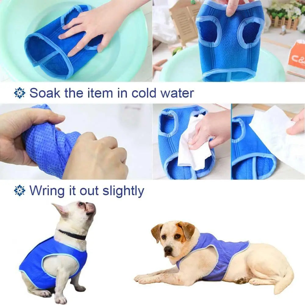 Reflective Dog Safety Vest — High-Visibility Walks