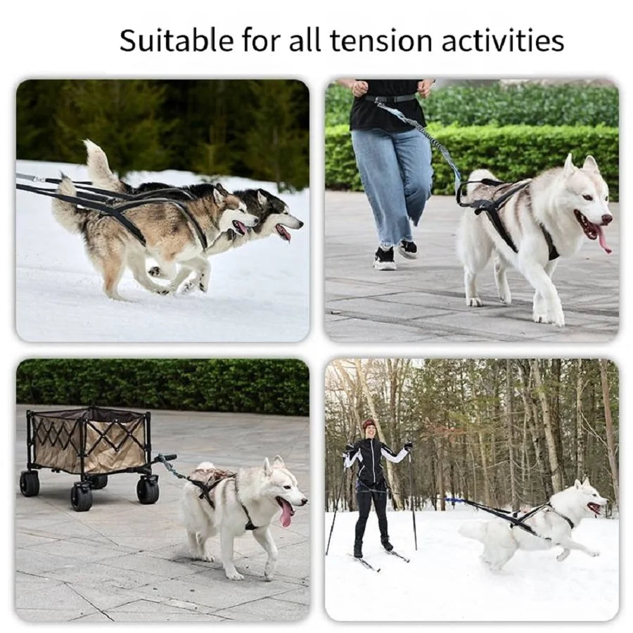 Adjustable Dog Harness — No-Pull Breathable & Reflective