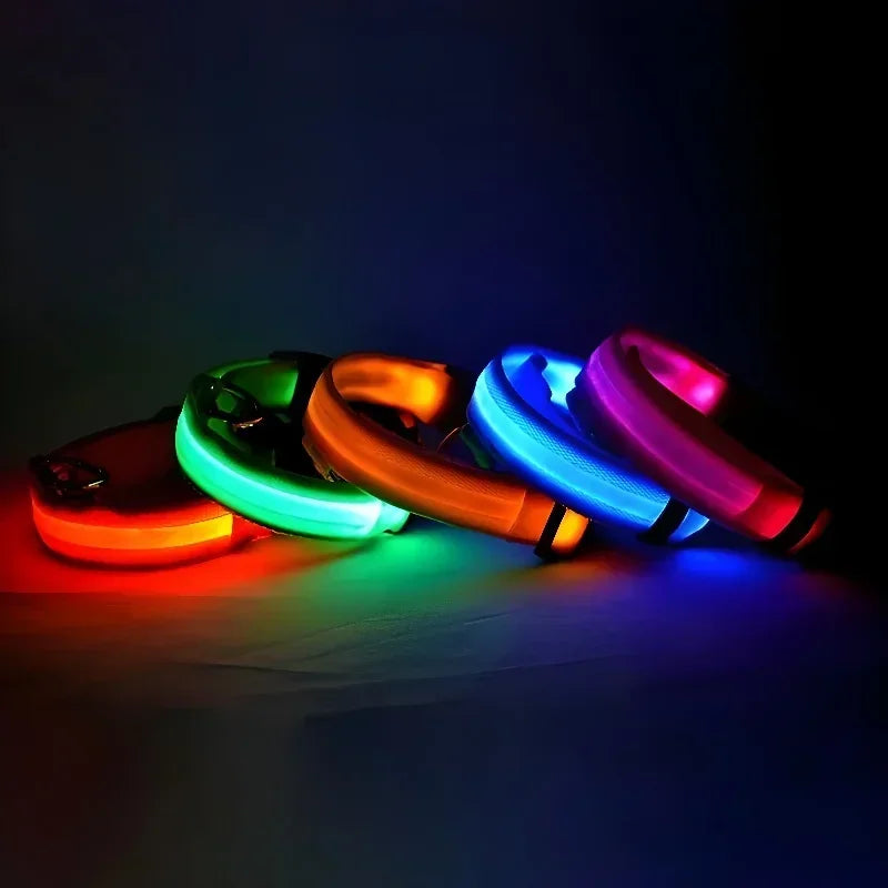 LED Light-Up Dog Collar — USB Rechargeable Night Safety