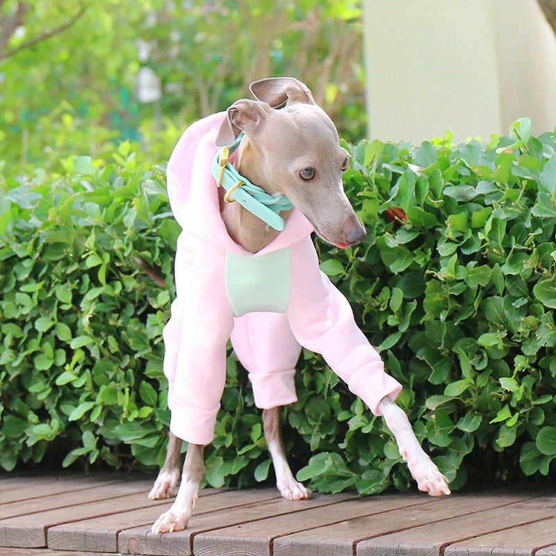 Dog & Cat Clothes — Cozy Winter Outfit