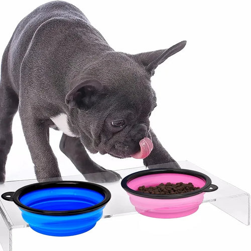 Collapsible Dog Bowl — Portable Travel Pet Feeder