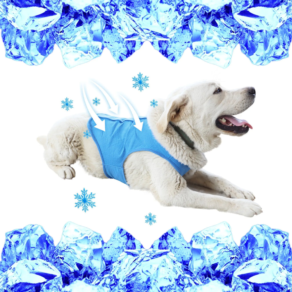Reflective Dog Safety Vest — High-Visibility Walks