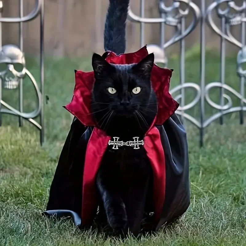 Halloween Pet Costume — Funny Dog & Cat Outfit