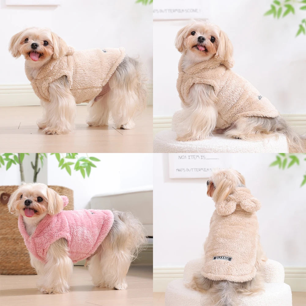 Dog & Cat Clothes — Cozy Winter Outfit