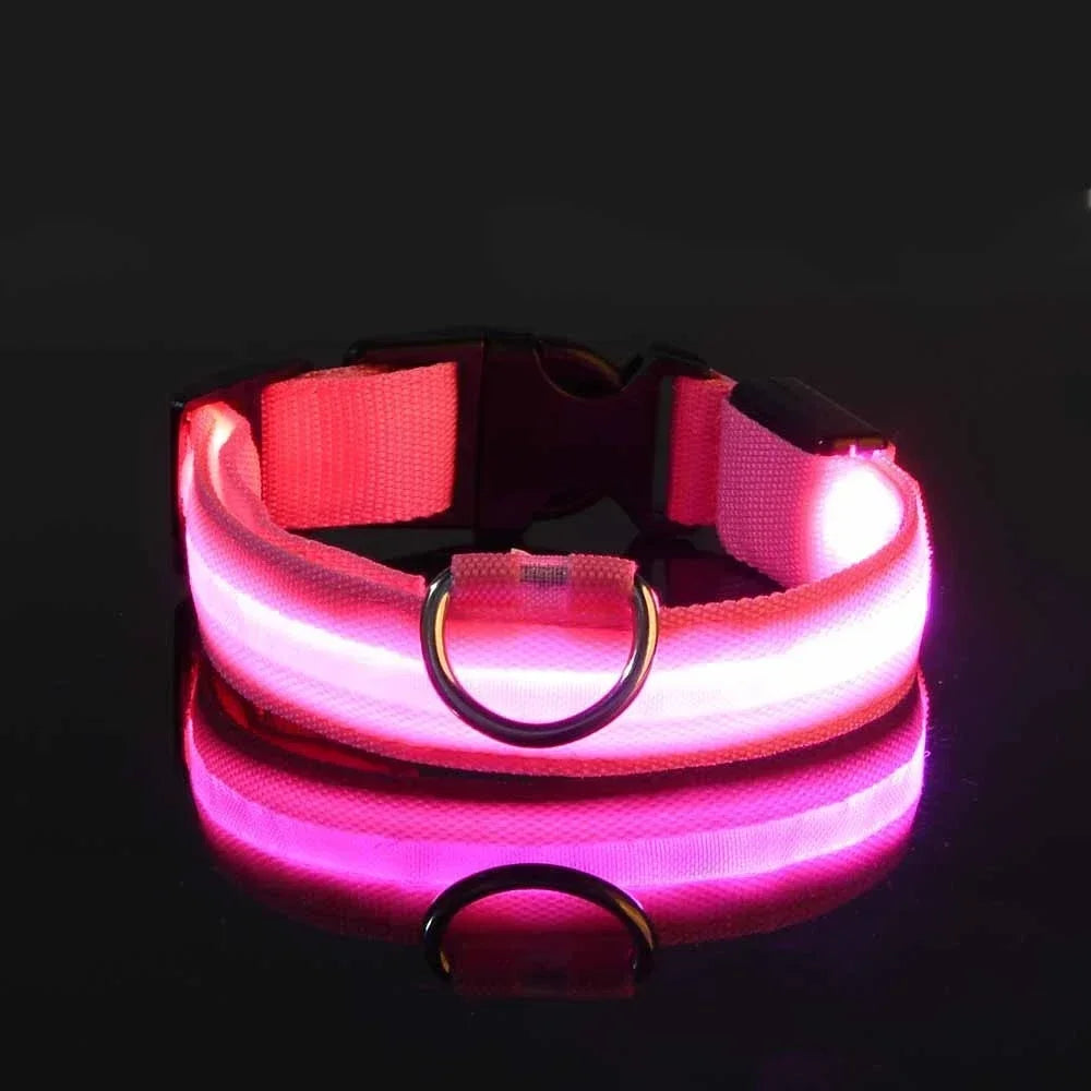 LED Light-Up Dog Collar — USB Rechargeable Night Safety