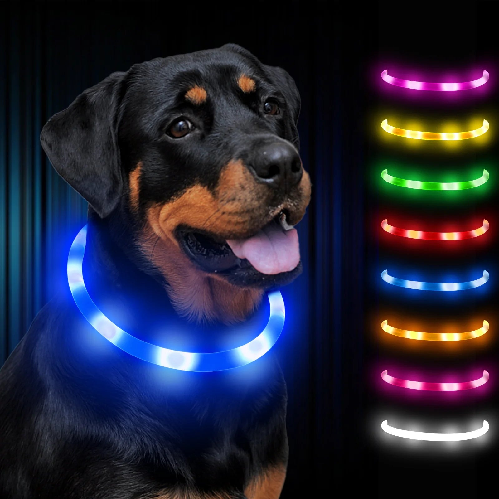 LED Light-Up Dog Collar — USB Rechargeable Night Safety
