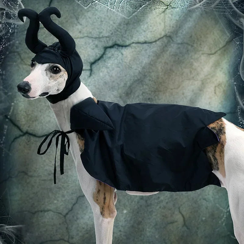 Halloween Pet Costume — Funny Dog & Cat Outfit