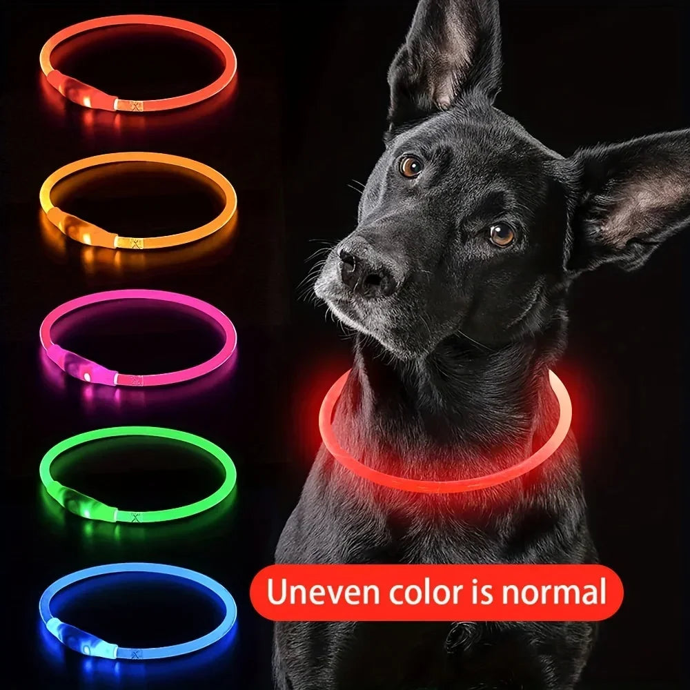 LED Light-Up Dog Collar — USB Rechargeable Night Safety