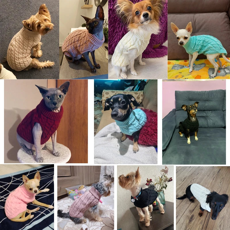Dog & Cat Clothes — Cozy Winter Outfit