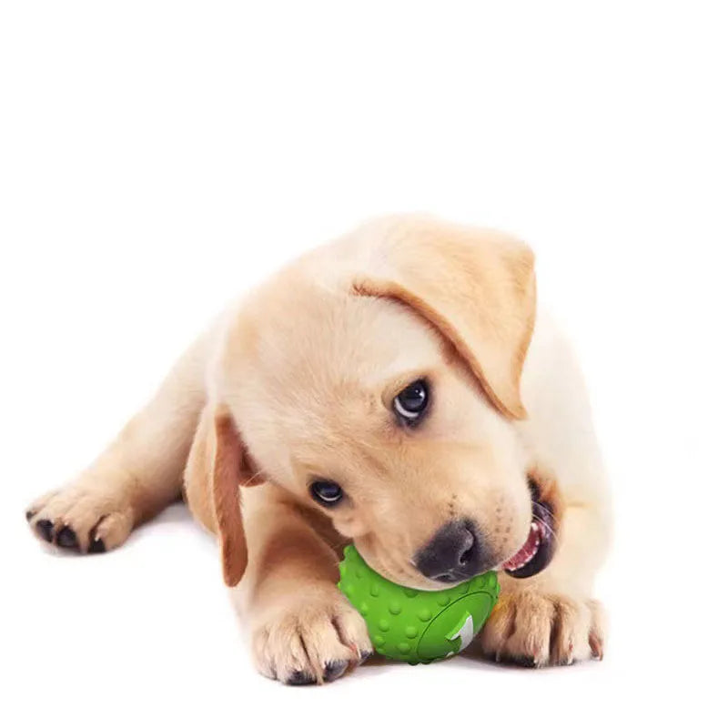 Interactive Dog Chew Toy — Durable & Squeaky