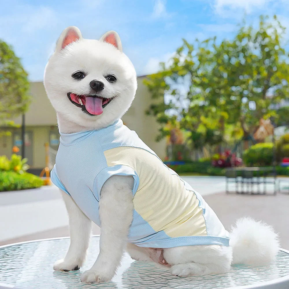 Summer Cooling Sport Shirt for Dogs — Breathable Mesh