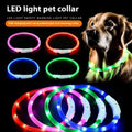 LED Light-Up Dog Collar — USB Rechargeable Night Safety