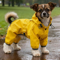 Dog & Cat Clothes — Cozy Winter Outfit