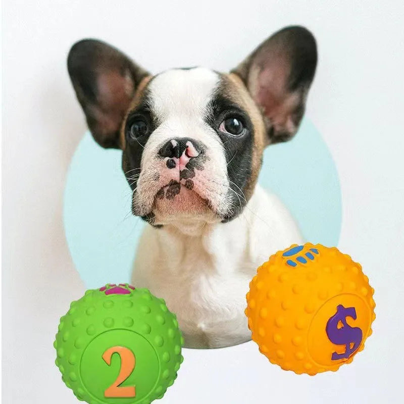 Interactive Dog Chew Toy — Durable & Squeaky