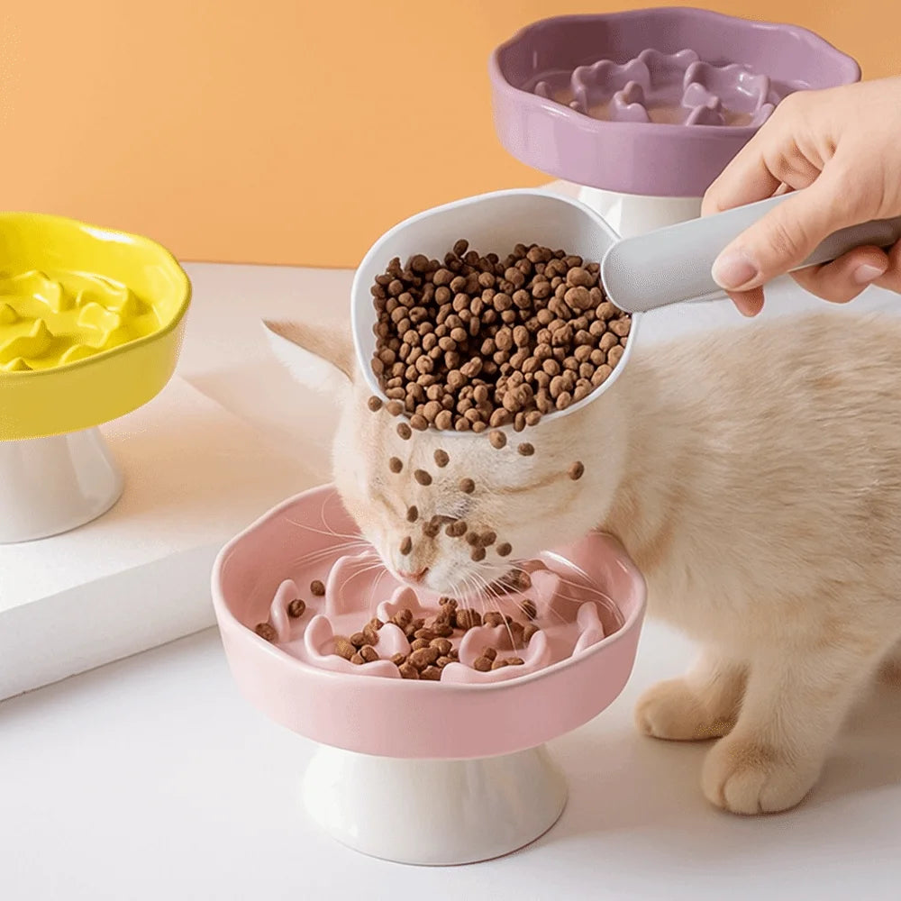 Collapsible Dog Bowl — Portable Travel Pet Feeder