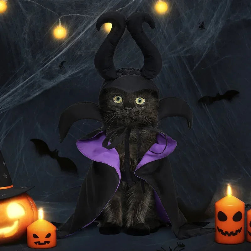 Halloween Pet Costume — Funny Dog & Cat Outfit