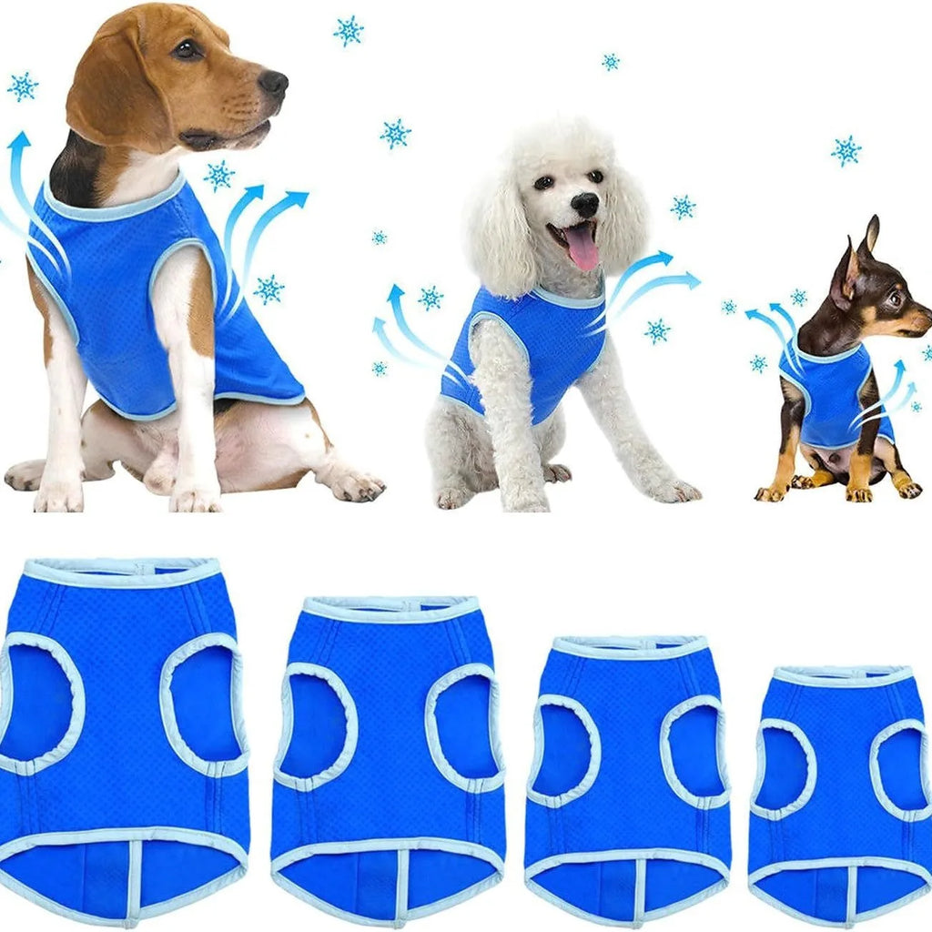 Reflective Dog Safety Vest — High-Visibility Walks