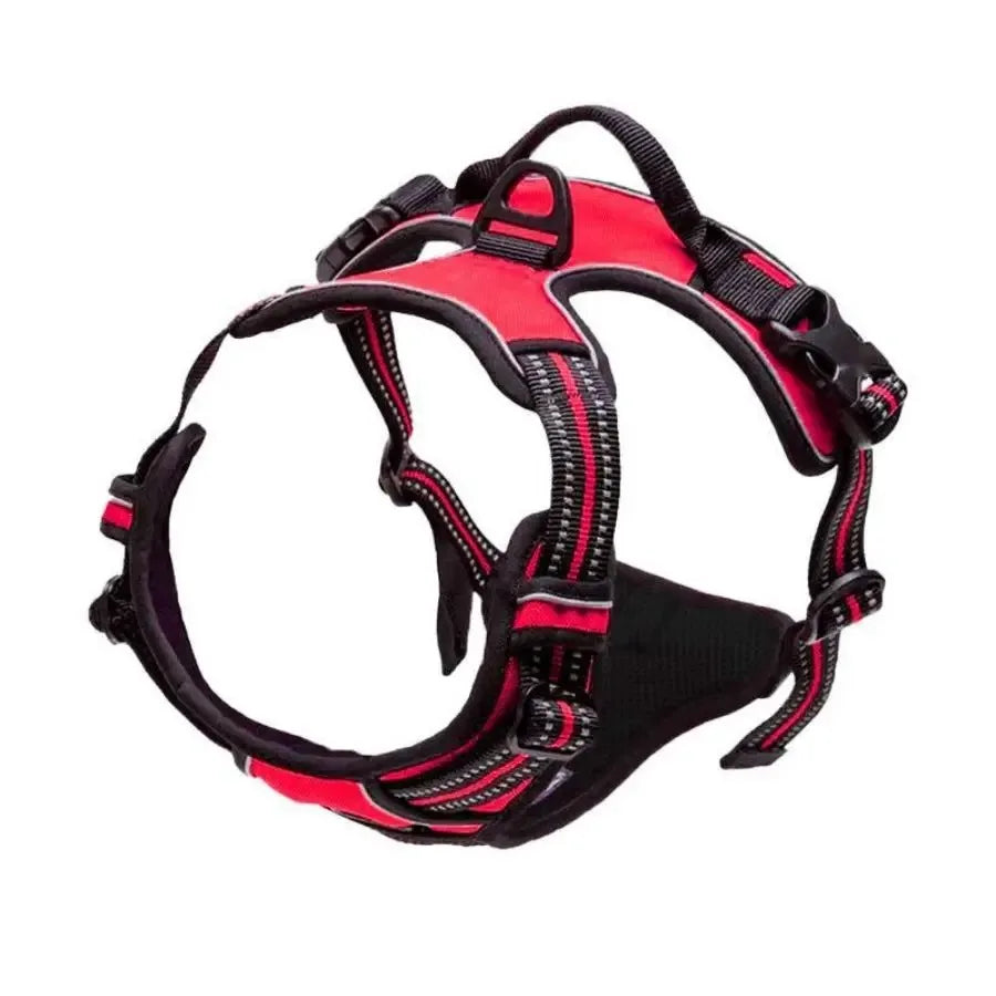 Parisian No-Pull Dog Harness — Adjustable & Escape-Proof