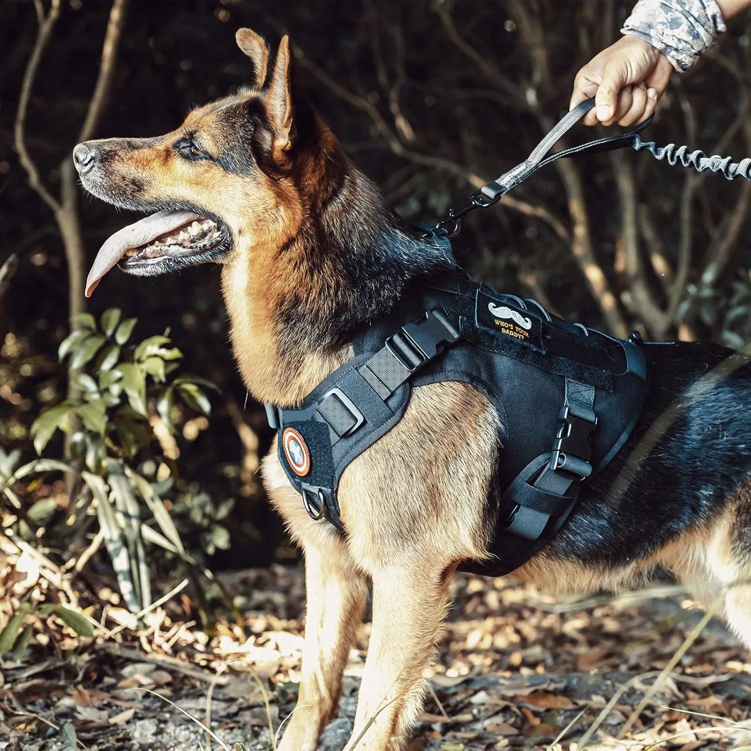 The Maison Pets: Elegant Dog Harnesses & Vests
