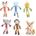 Interactive Dog Chew Toy — Durable & Squeaky