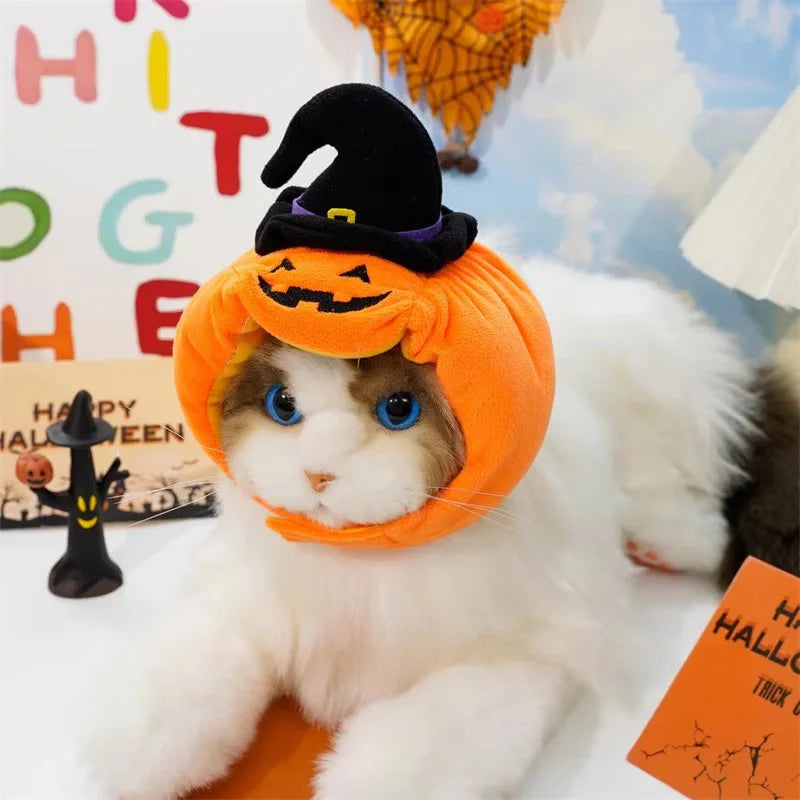 Halloween Pet Costume — Funny Dog & Cat Outfit