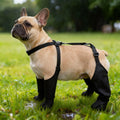 Waterproof Dog Raincoat — Windproof Hooded Jacket