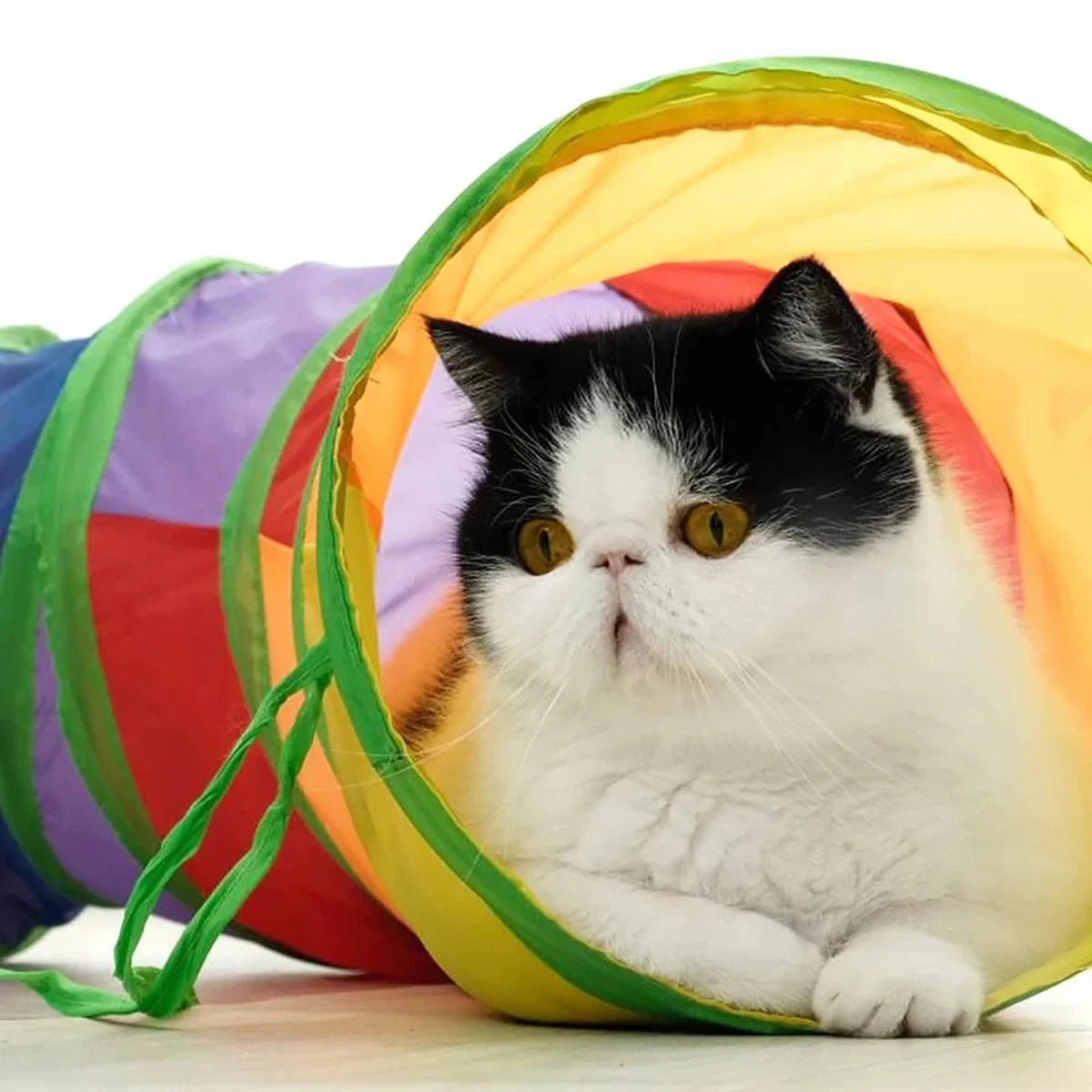 Interactive Cat Toy — Feather Wand & Suction Cup