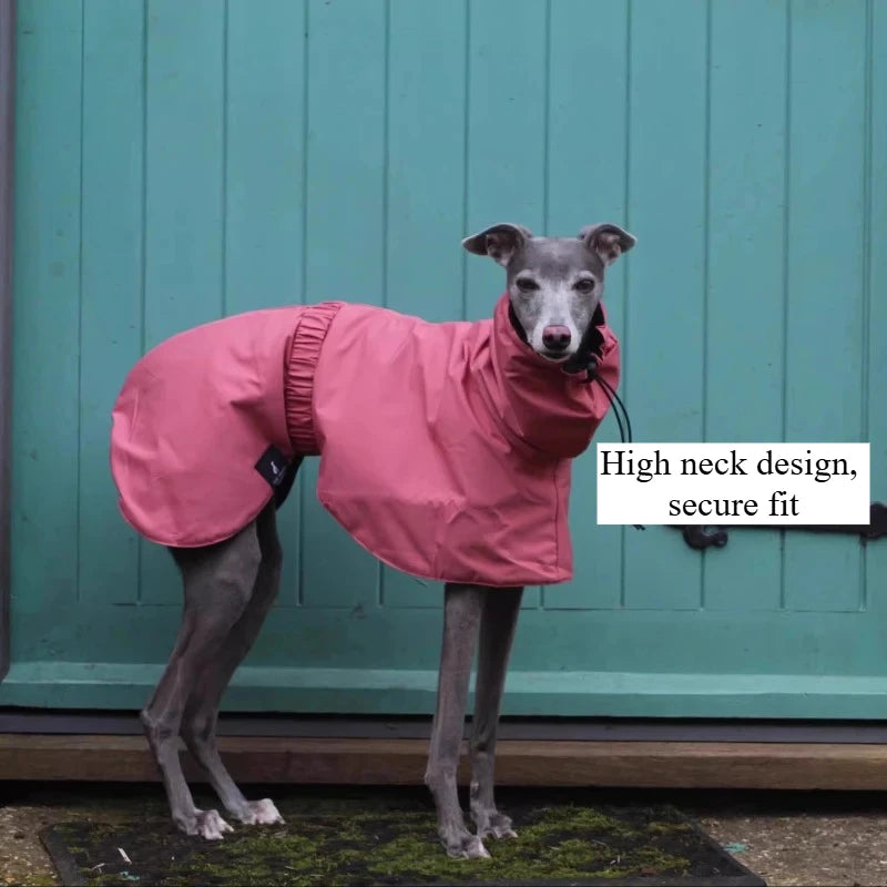 Dog & Cat Clothes — Cozy Winter Outfit