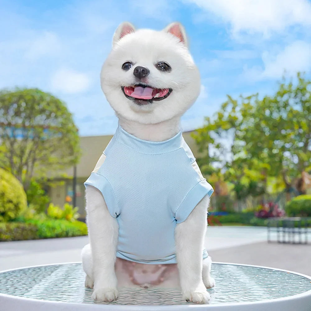 Summer Cooling Sport Shirt for Dogs — Breathable Mesh