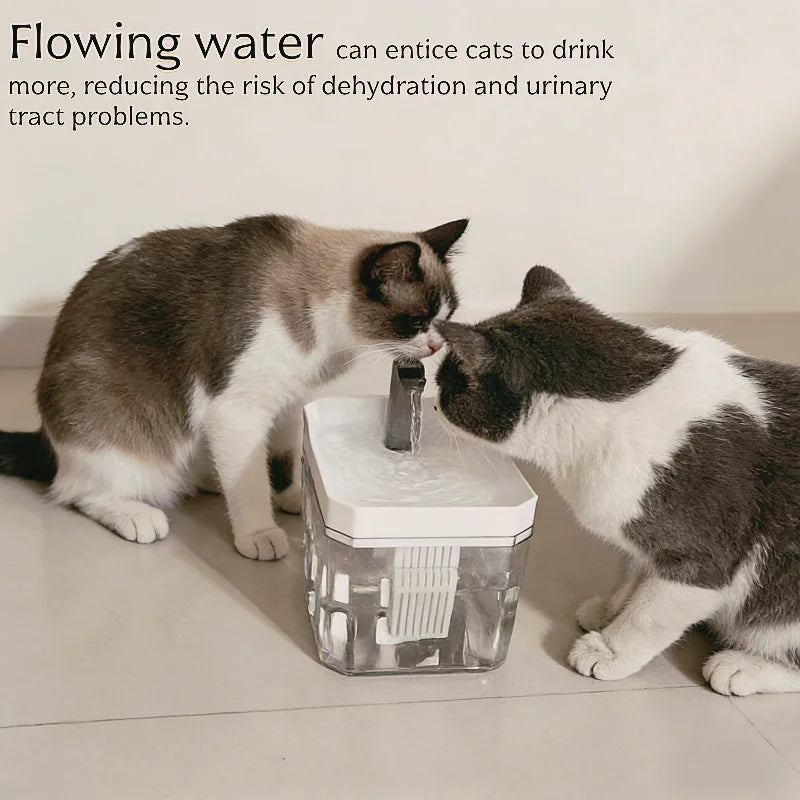 Automatic Pet Water Fountain — USB Filtered Dispenser