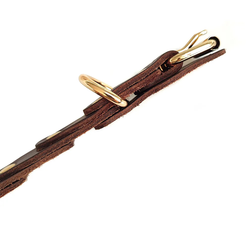 Genuine Leather Dog Collar — Durable & Stylish