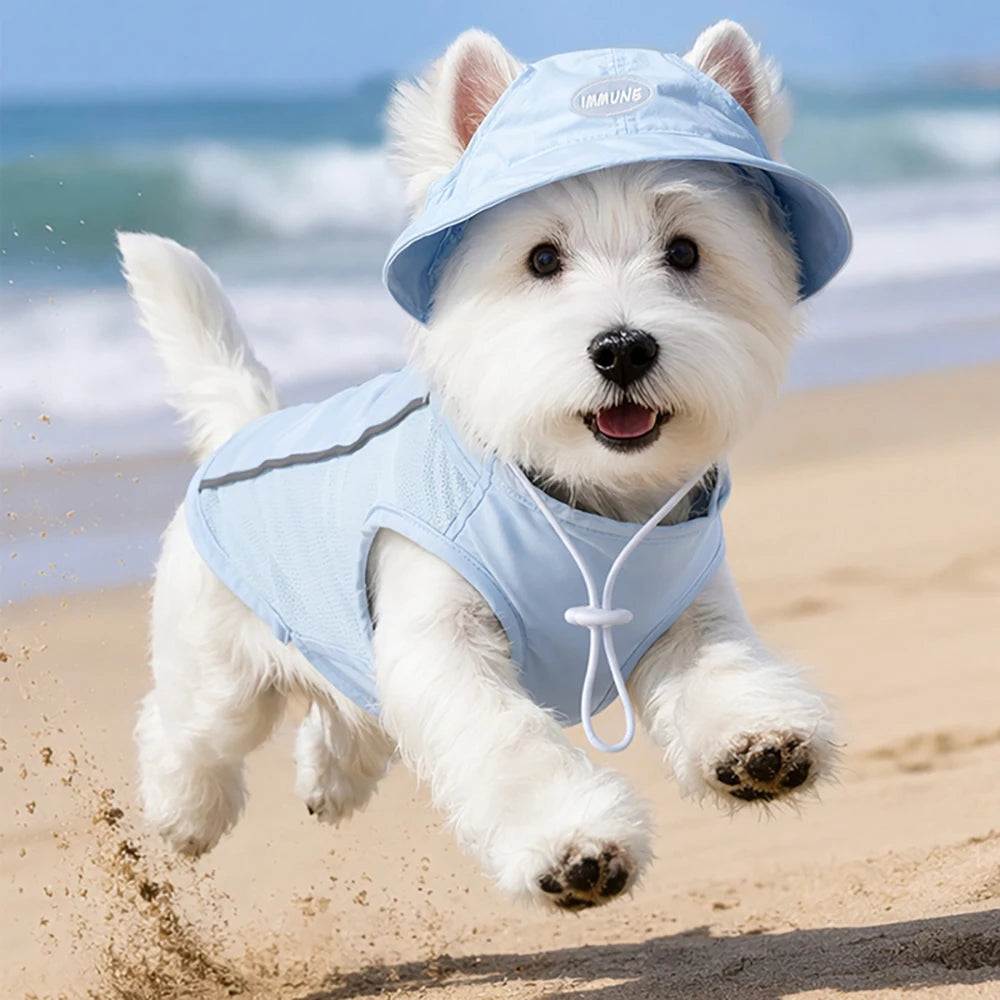 Reflective Dog Safety Vest — High-Visibility Walks