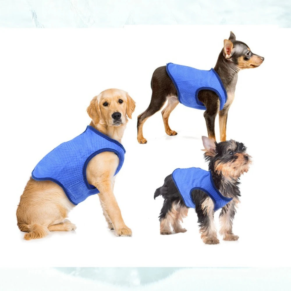 Dog & Cat Clothes — Cozy Winter Outfit