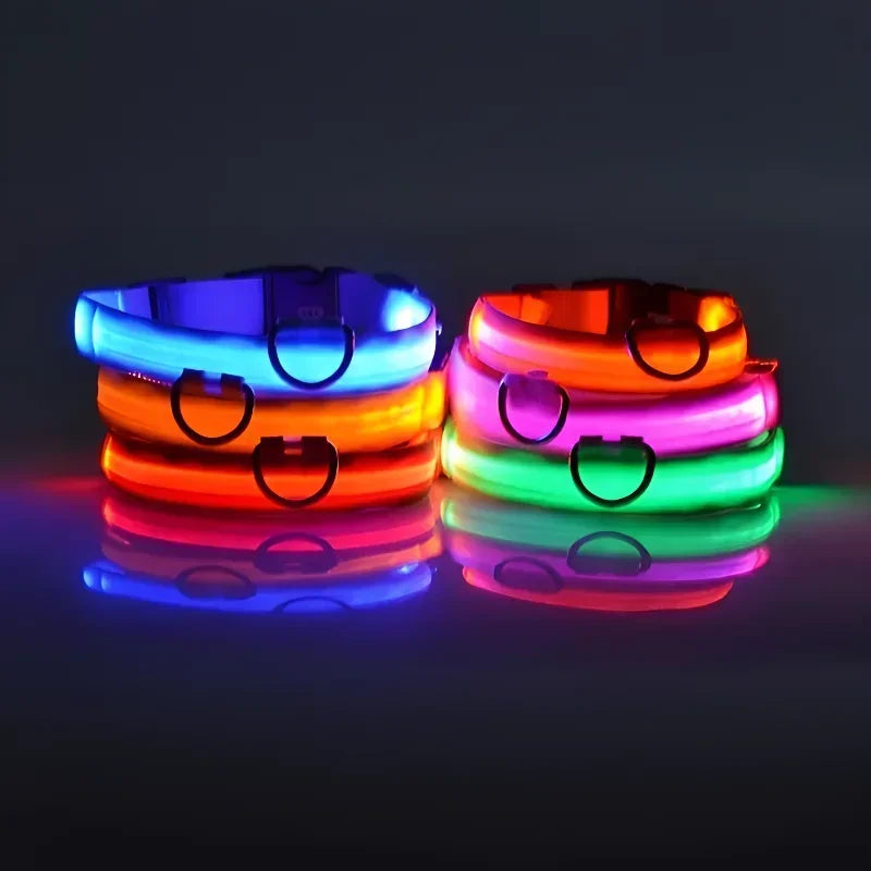 LED Light-Up Dog Collar — USB Rechargeable Night Safety