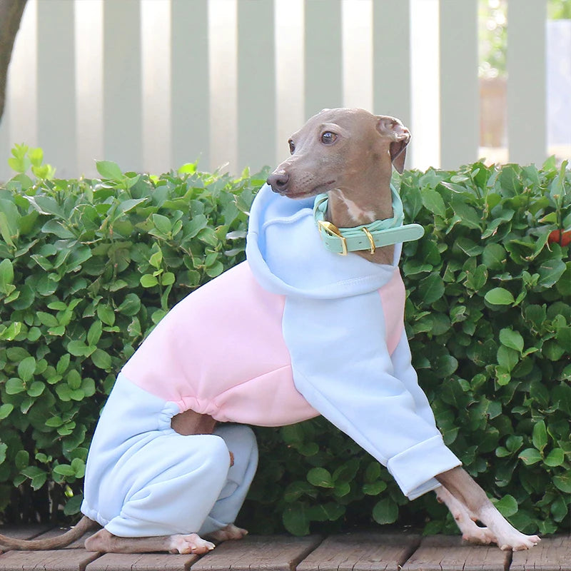 Dog & Cat Clothes — Cozy Winter Outfit