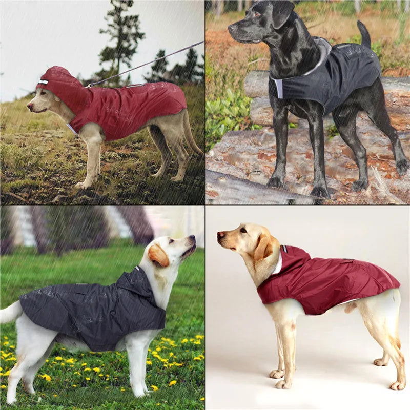 Dog & Cat Clothes — Cozy Winter Outfit